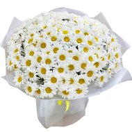 Величезний букет ромашок