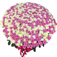 Тисяча троянд