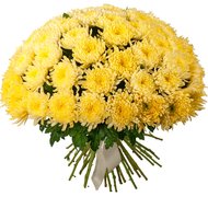 51 велика хризантема