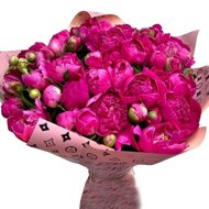 51 місцева півонія