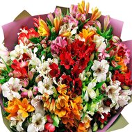 Альстермерія у букеті