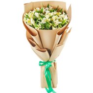 Альстромерія біла