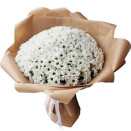 Білі ромашки букет