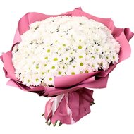 Великий букет ромашок