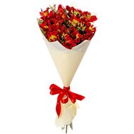 Букет червоної альстромерії