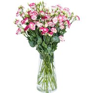 Еустома біло рожева