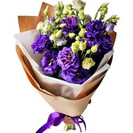 Еустома фіолетова