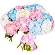 Гортензія монобукет