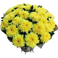 Хризантеми одноголові