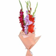 Маленький букет гладіолусів