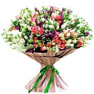 Мікс еустоми