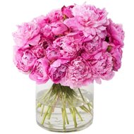 Ніжний букет з півонії