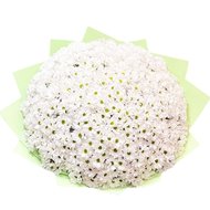 Величезний букет ромашок