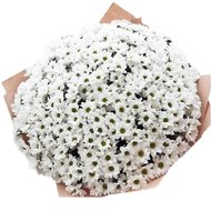 Ромашки в упаковці