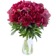 Розкішні півонії