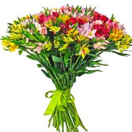 Шикарний букет альстромерій