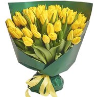 50 тюльпанів