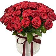 51 червона троянда в коробці