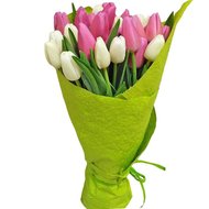 Білі та рожеві тюльпани