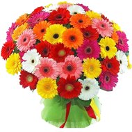 Букет гербер дівчині