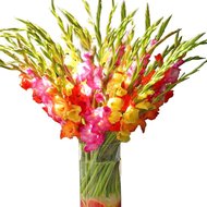 Букет гладіолусів на Ювілей