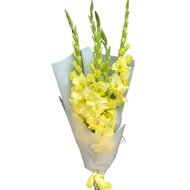 Букет з 5 гладіолусів