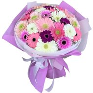 Гербери на Ювілей