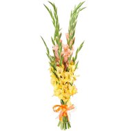 Гладіолуси перев'язані стрічкою