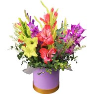 Гладіолуси в коробці