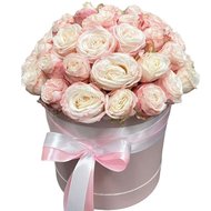 Кремові кущові троянди в коробці