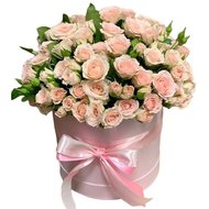 Кущові троянди в коробці