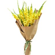 Модний букет гладіолусів