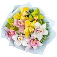 Орхідеї цимбідіум