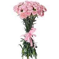 Рожеві гвоздики