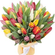 Найкрасивіший букет із тюльпанів