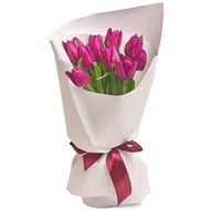 Бузкові тюльпани