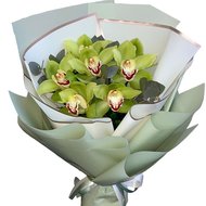 Зелені орхідеї