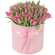 101 рожевий тюльпан у коробці