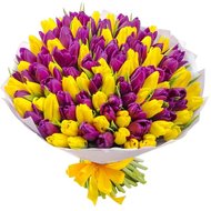 101 жовтий та фіолетовий тюльпан