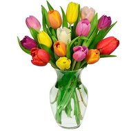 15 тюльпанів мікс