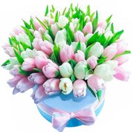 Білі та рожеві тюльпани в коробці