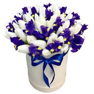 Білі тюльпани та іриси в коробці