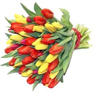Bouquet of bright tulips