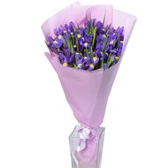 Букет із 25 синіх ірисів