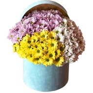 Квіти в коробці хризантеми