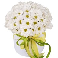 Хризантеми у коробці