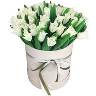 Коробка білих тюльпанів
