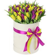 Коробка з жовтими і фіолетовими тюльпанами