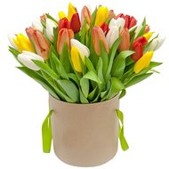 Коробка тюльпанів різнокольорових