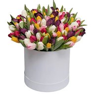 Красива коробка з тюльпанами